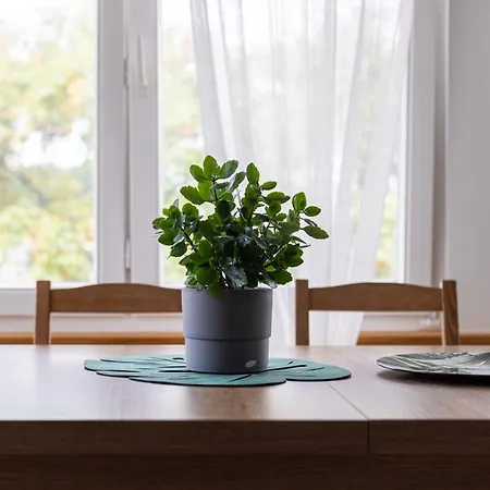 Victus Apartamenty, Monte Mon * سوبوت