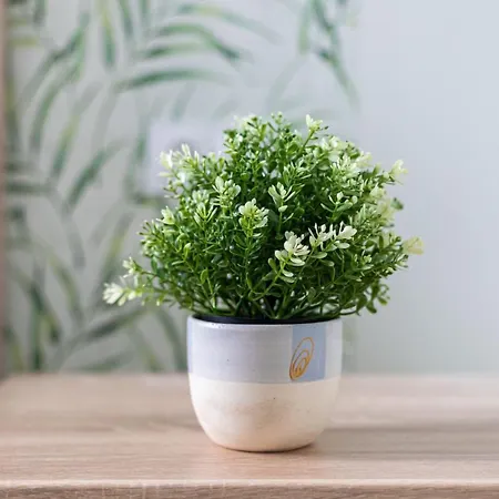 Victus Apartamenty, Monte Mon شقة *