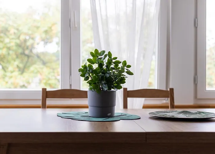 Victus Apartamenty, Monte Mon * 索波特