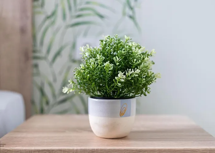 Victus Apartamenty, Monte Mon 公寓 *